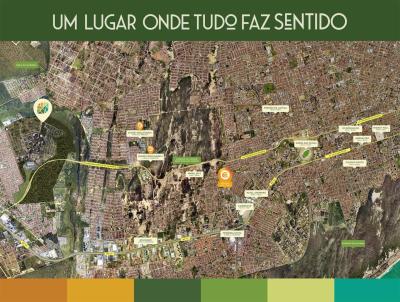 Lote para Venda, em Natal, bairro Pitimbu